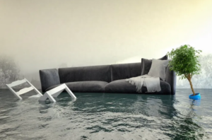 Lire la suite à propos de l’article Dégâts des eaux